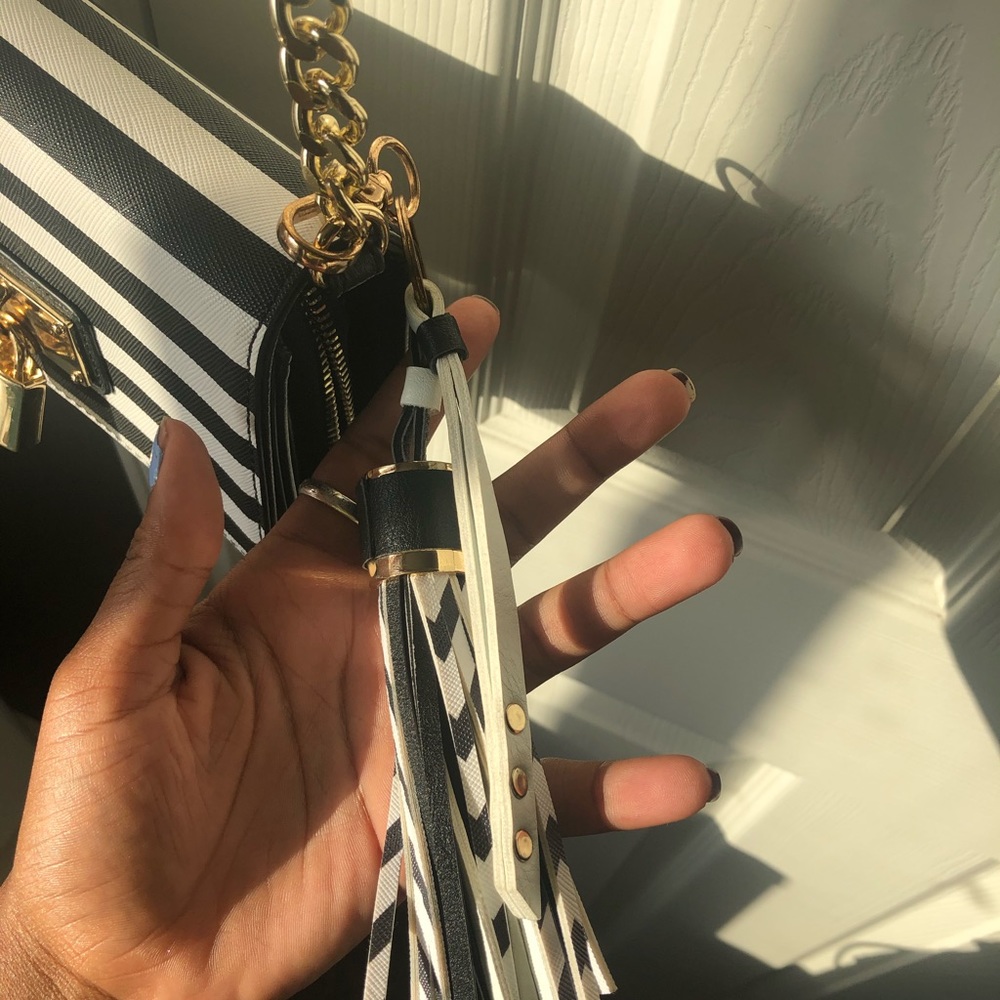 Aldo striped purse